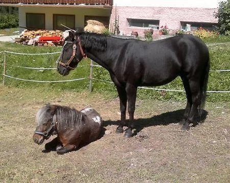 Bergheimat Guest house